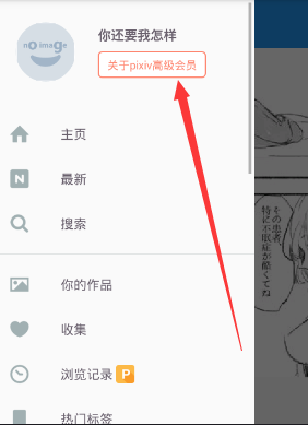 pixiv高级用户破解版2021-pixiv中文高级用户破解版下载