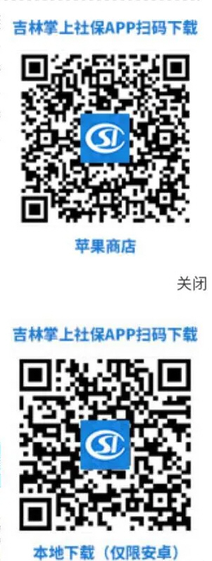 吉林养老保险认证app-吉林养老保险认证app