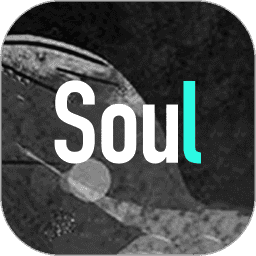 soul国际版app