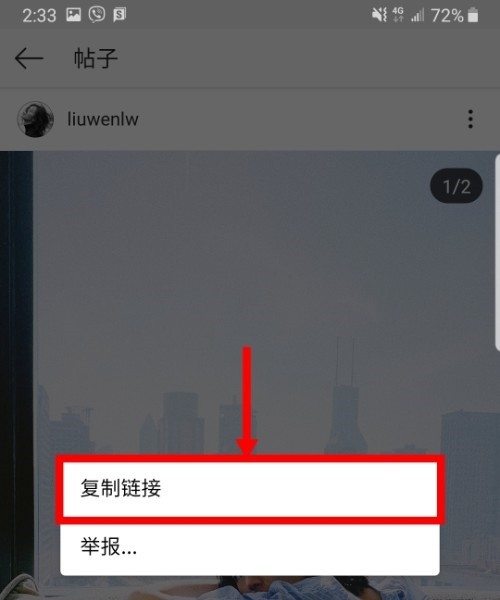 ins中文版下载-ins中文版安卓版下载