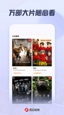 新版西瓜视频下载-新版西瓜视频免费下载