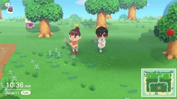 动物之森switch中文版下载-动物之森switch中文版（附攻略）最新下载