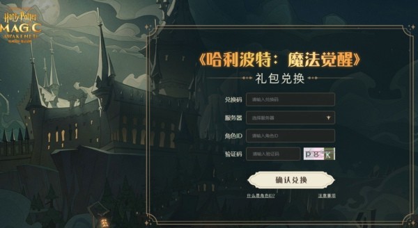 哈利波特魔法觉醒官服