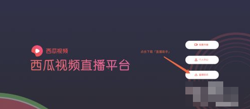 西瓜视频app手机版