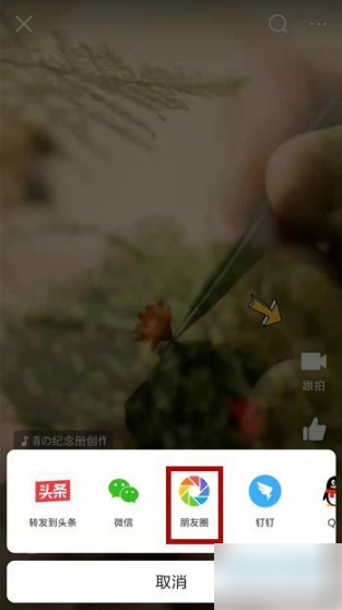 今日头条极速版 下载