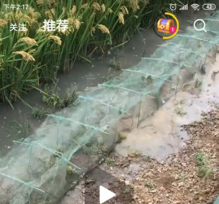 腾讯微视赚钱版