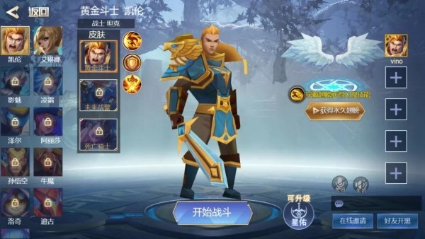 王者精英5V52021
