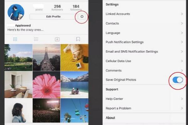 instagram永久免费版安卓