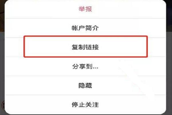 instagram永久免费版安卓