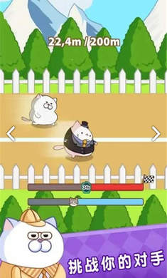 肥猫快跑