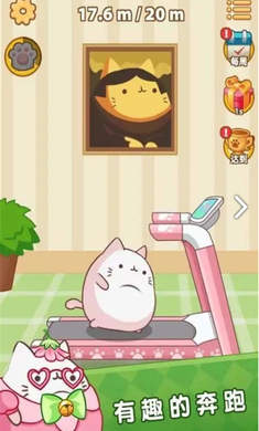 肥猫快跑