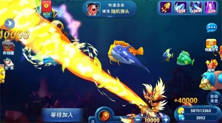 77966j.cnm招财猫摇钱树官网版