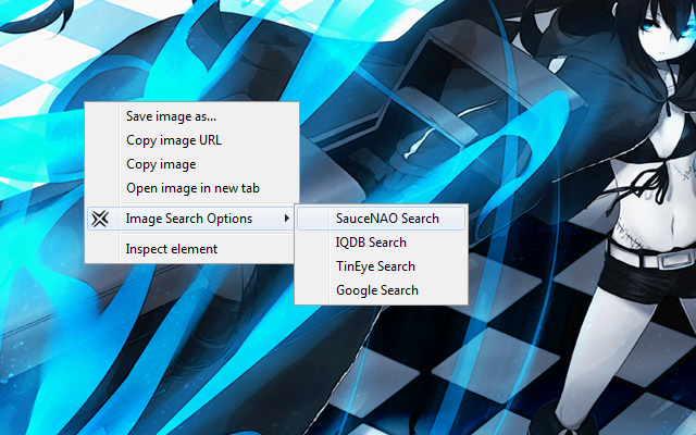 image search options