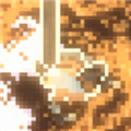 昆虫恐惧症无限金币版