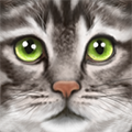 终极猫模拟器无敌版(UltCatSim)