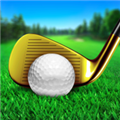 终极高尔夫内置菜单版(Ultimate Golf)