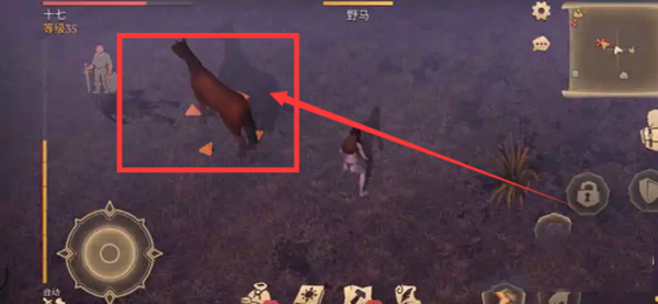 冷酷灵魂黑暗幻想生存图片7