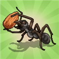 口袋蚂蚁无限金币无限食物版(Pocket Ants)