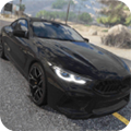 汽车专业模拟器（Car Pro Simulator Racing）