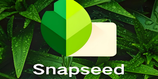 Snapseed正版免费版