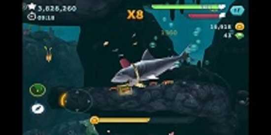 饥饿鲨进化最新版合集