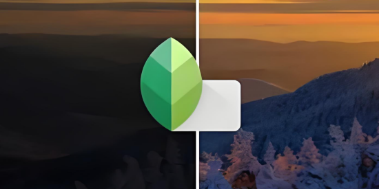Snapseed修图软件免费版