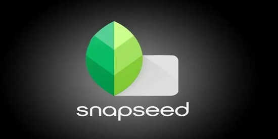 下载SnapSeed免费软件