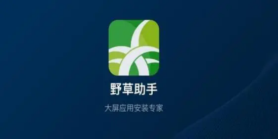 野草助手版本合集