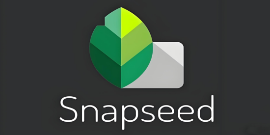 Snapseed2026中文版