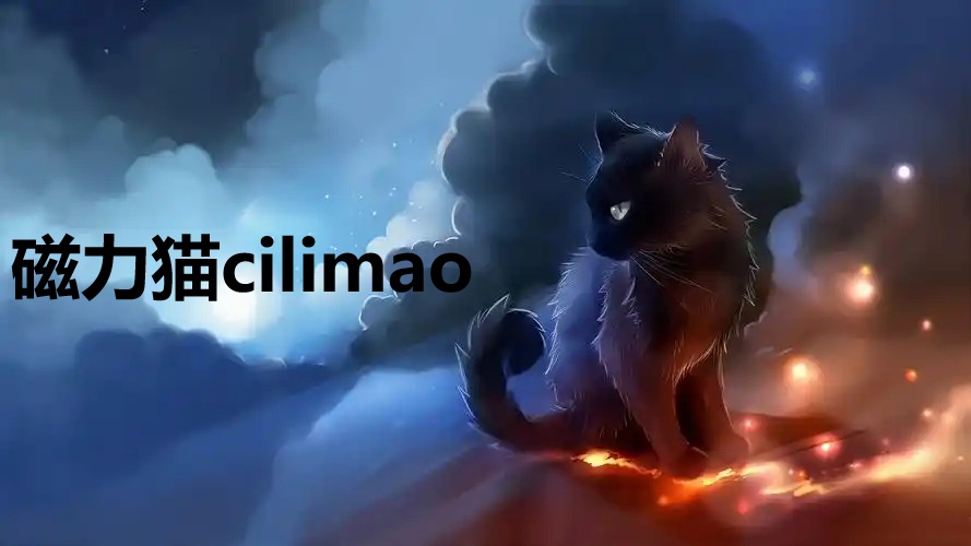 磁力猫cilimao