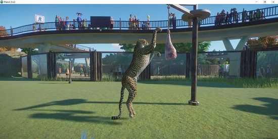 动物园之星完整版