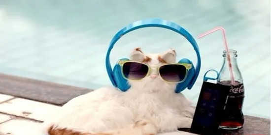 手机安卓版本MusicFree