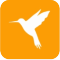 蓝鸟抓包高级版最新版