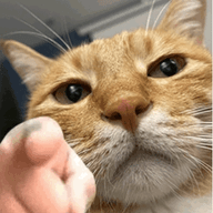 墨白影视高清免费版