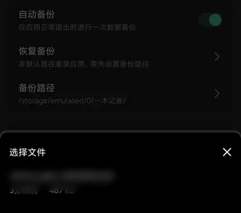 一木记账高级精简版