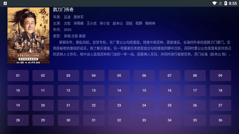 瓜子视频TV去广告版