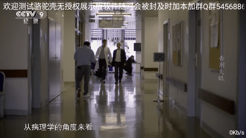 骆驼直播2026最新版